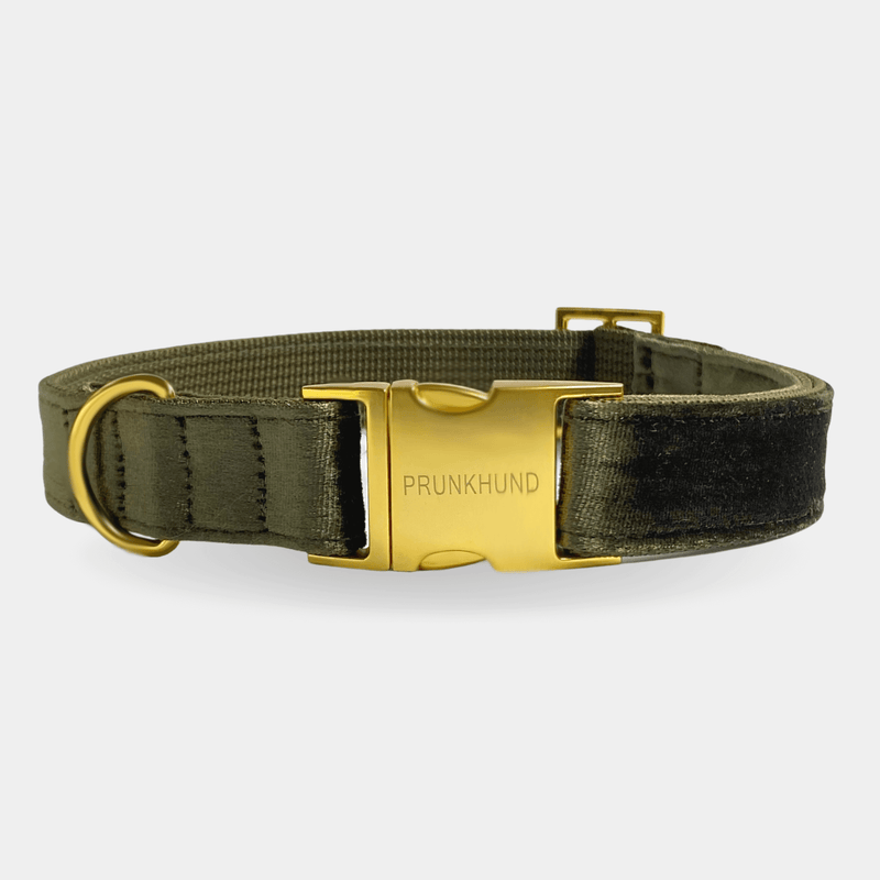 Halsband MOSS