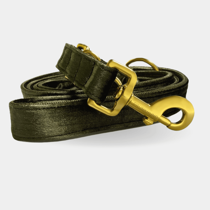 leash MOSS