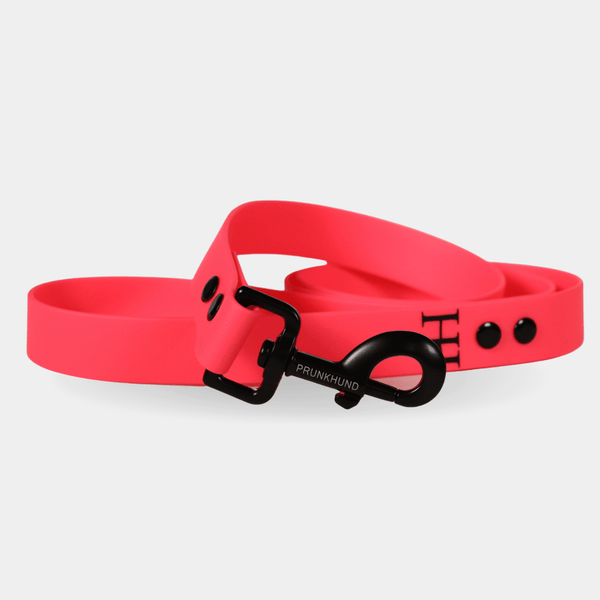 leash NEON RAIN