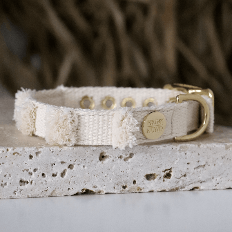 Halsband NOMA cream