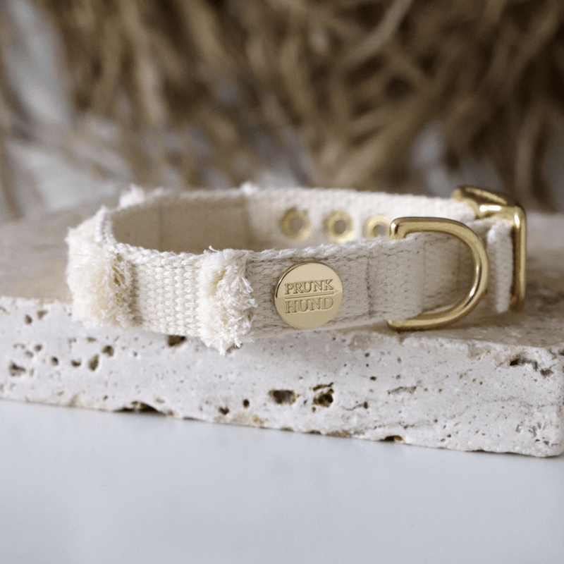 Halsband NOMA cream