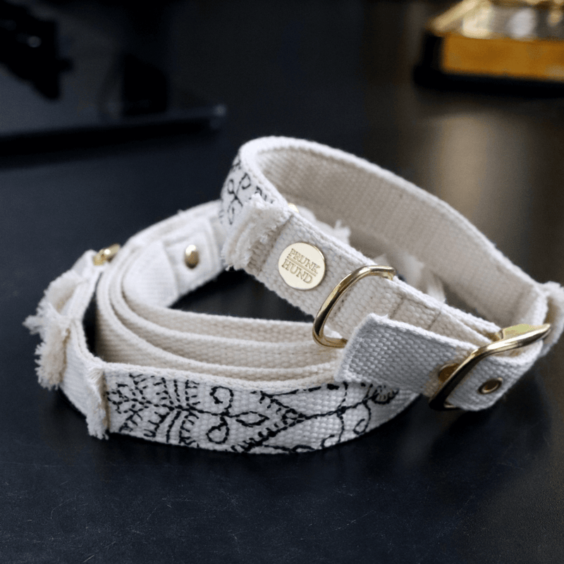 Leash NOMAD black