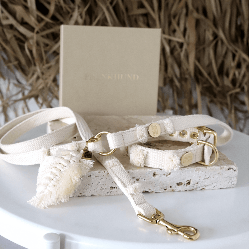 Halsband NOMA cream