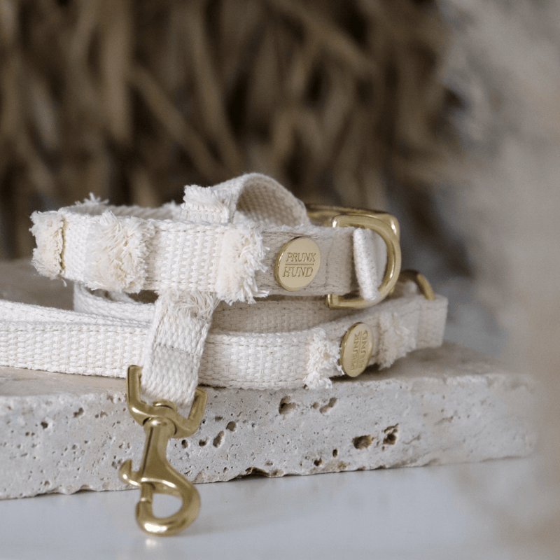 Halsband NOMA cream