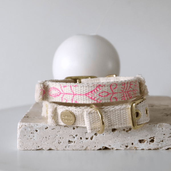 Halsband NOMA fuchsia