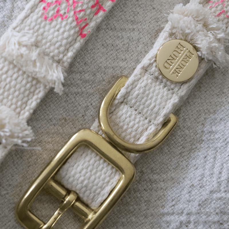 Leash NOMAD fuscia