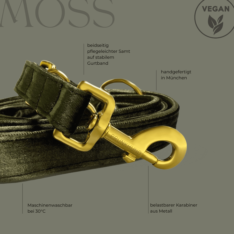 leash MOSS