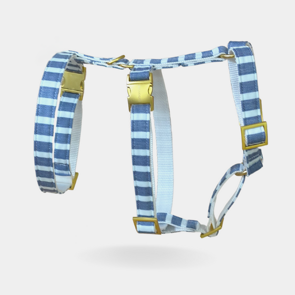 EDEN DAY safety harness