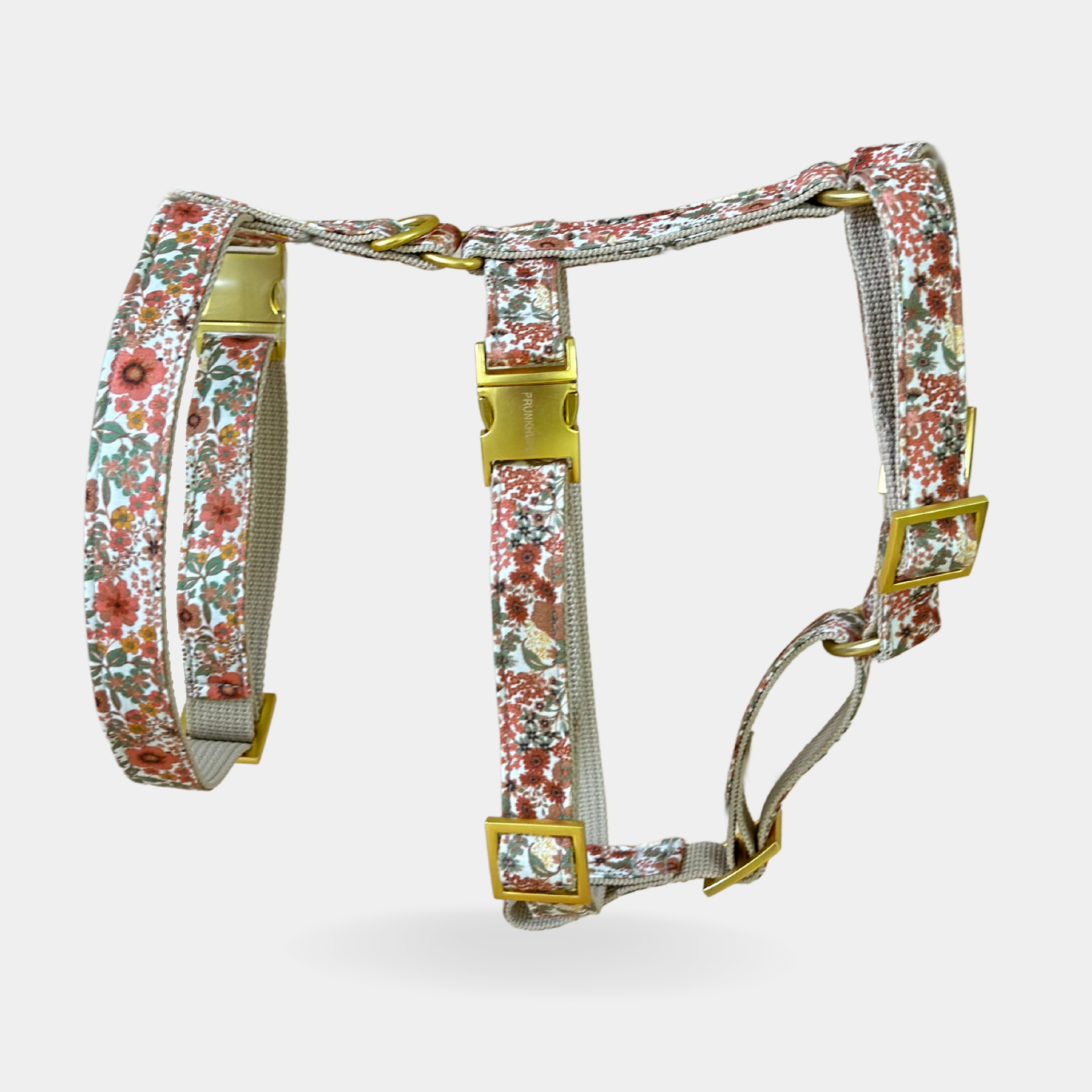 EDEN DAY safety harness