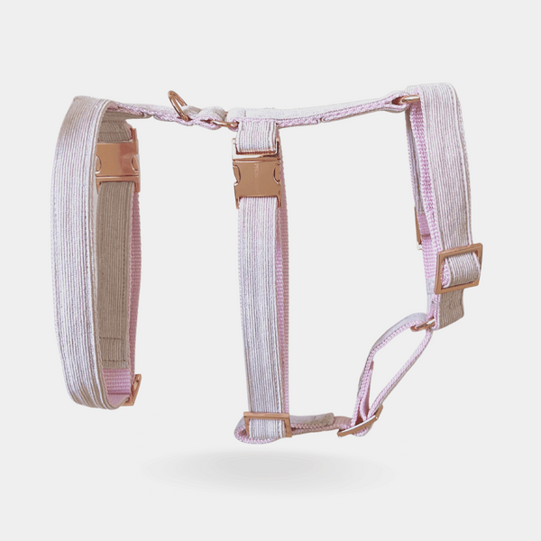 Safety harness BLUSH