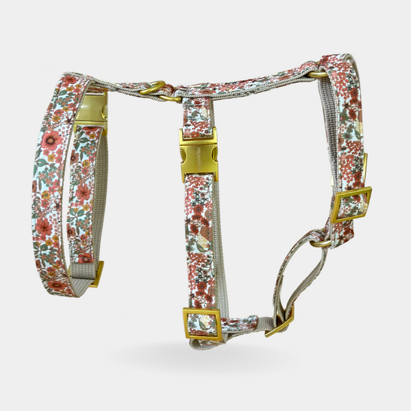 EDEN DAY safety harness