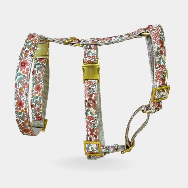 EDEN DAY safety harness