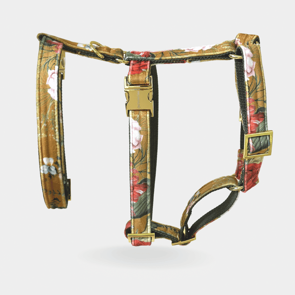 EDEN DAY safety harness