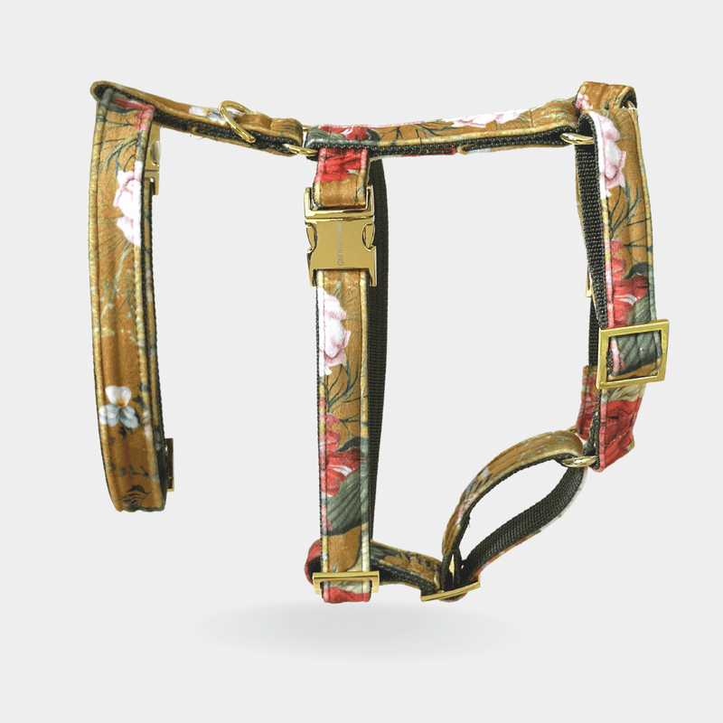 EDEN DAY safety harness