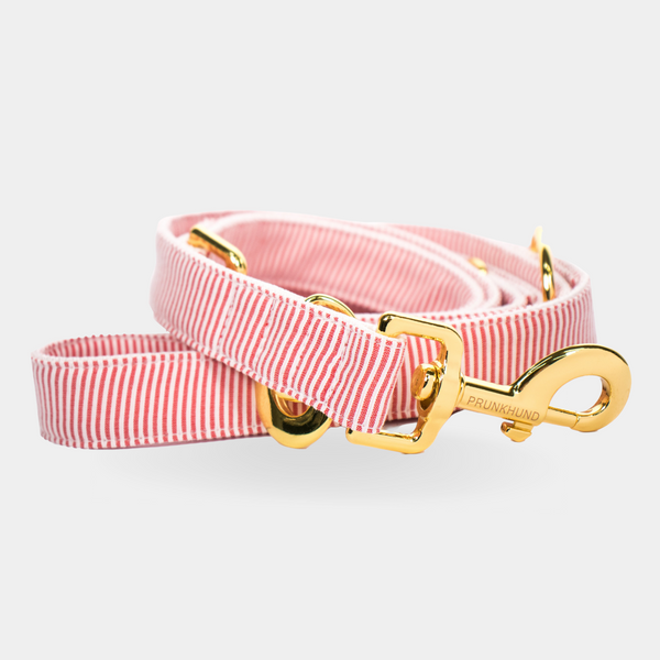 Leash RIVIERA red