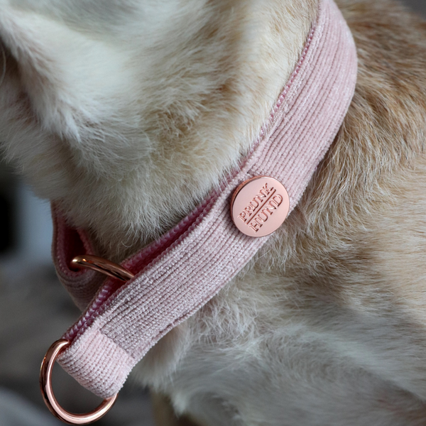 Zugstopp Halsband BABE