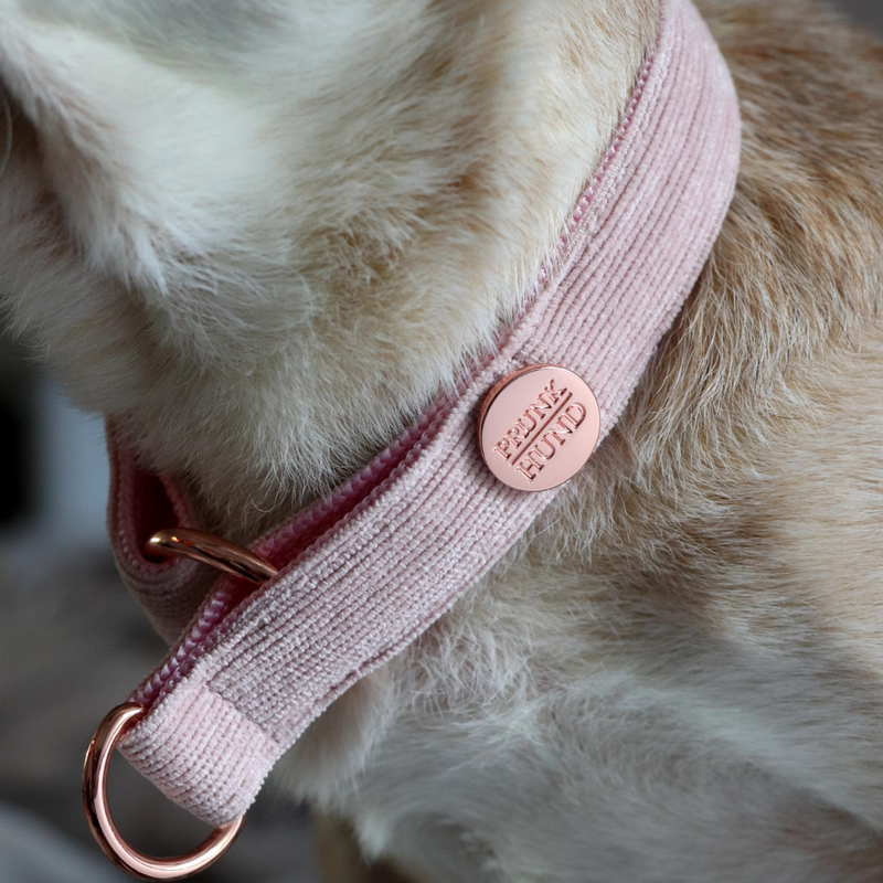 Zugstopp Halsband BABE