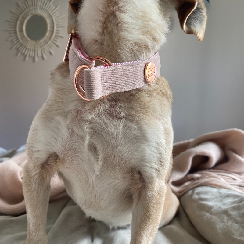 Zugstopp Halsband BABE