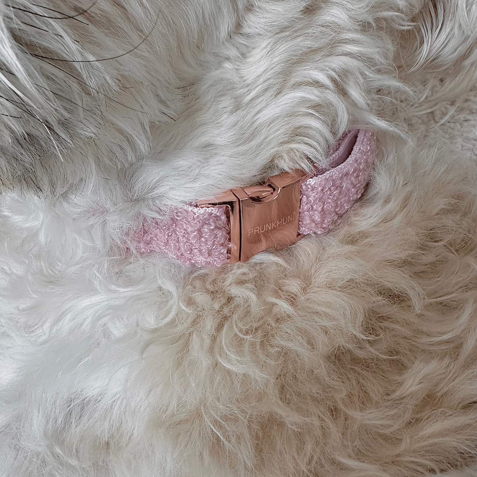 Halsband TEDDY blush
