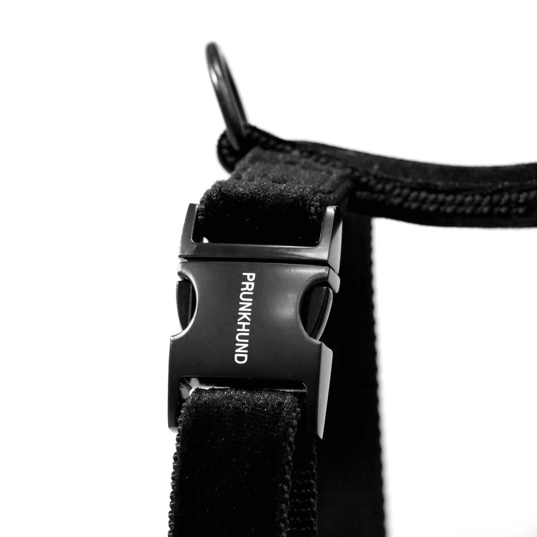 dog harness NIGHT