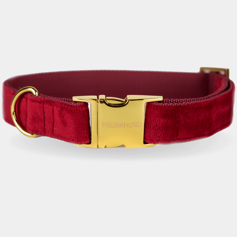 SANTA BABY collar