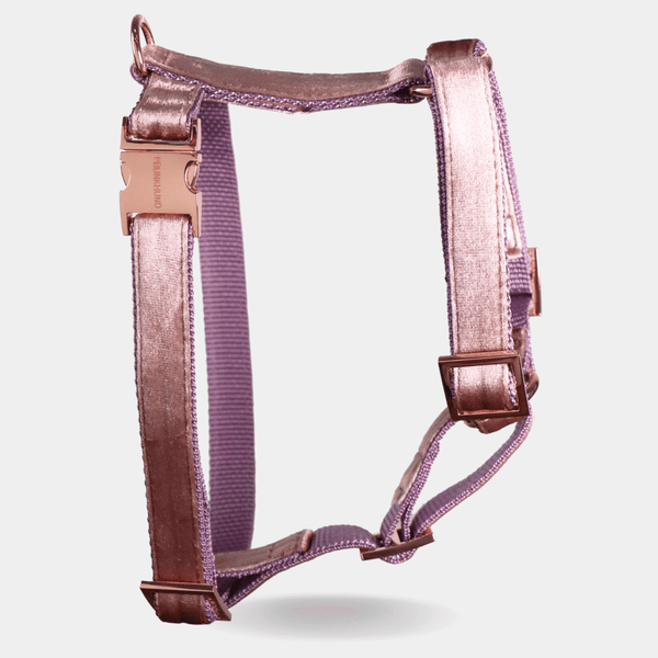 Dog harness PASTEL POWDER