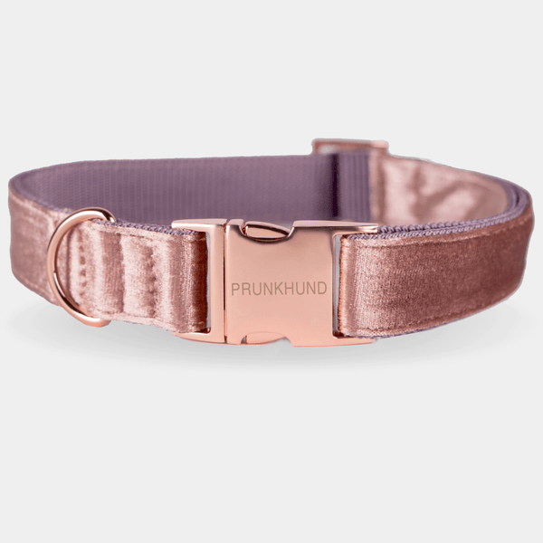 Collar PASTEL POWDER