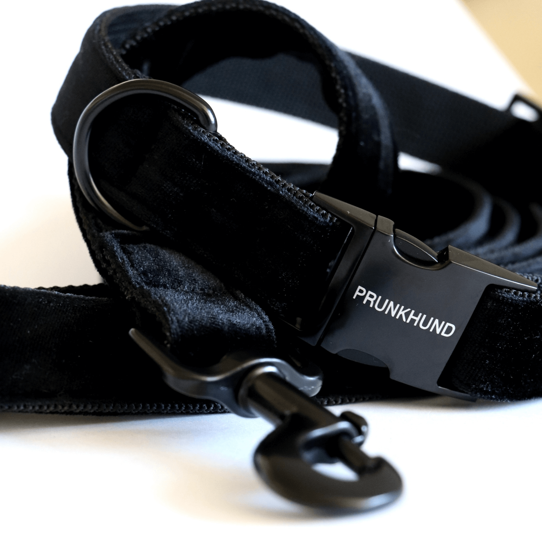 Leash NIGHT