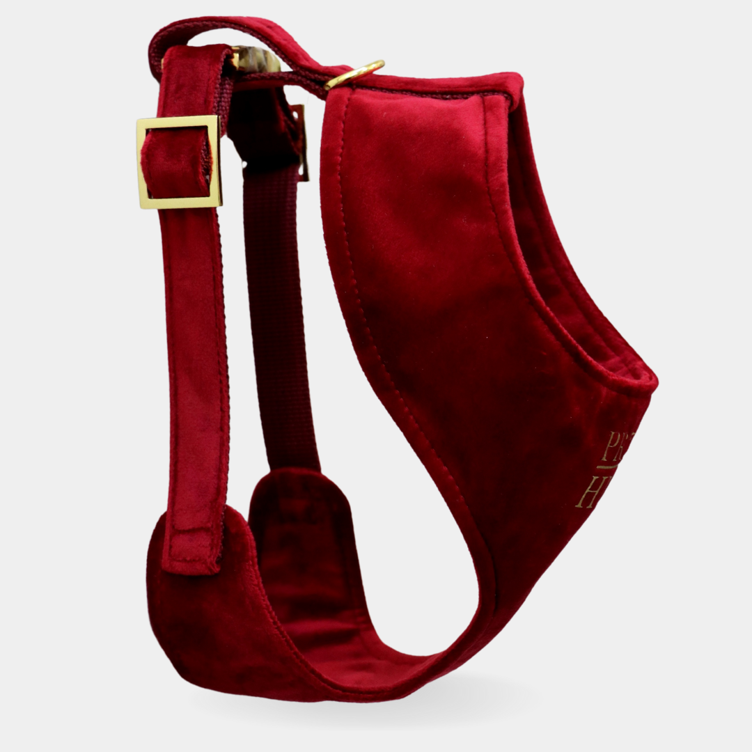 Soft harness SANTA BABY