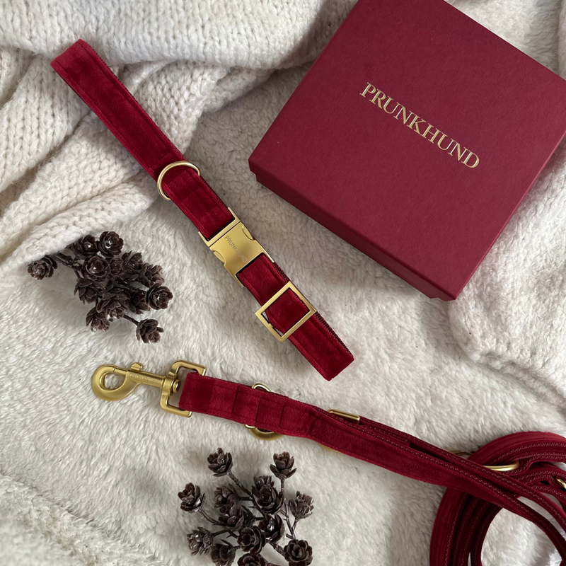 SANTA BABY collar