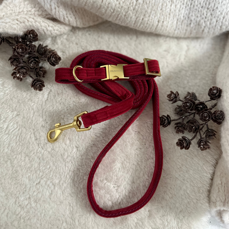 Leash SANTA BABY