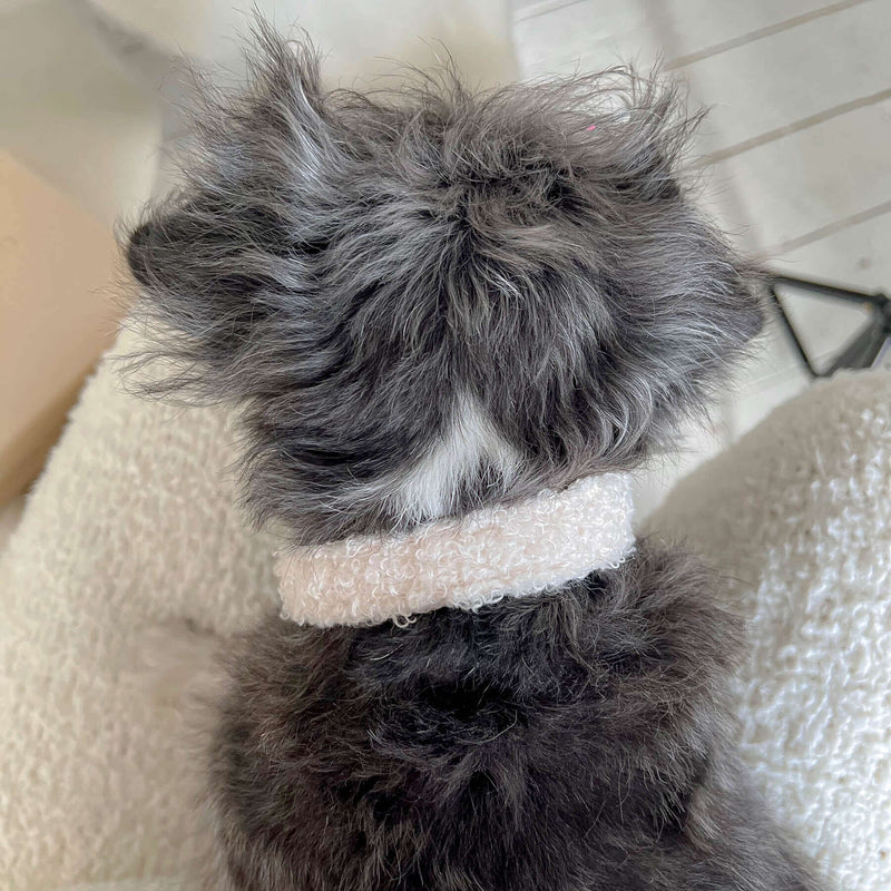 TEDDY cream collar