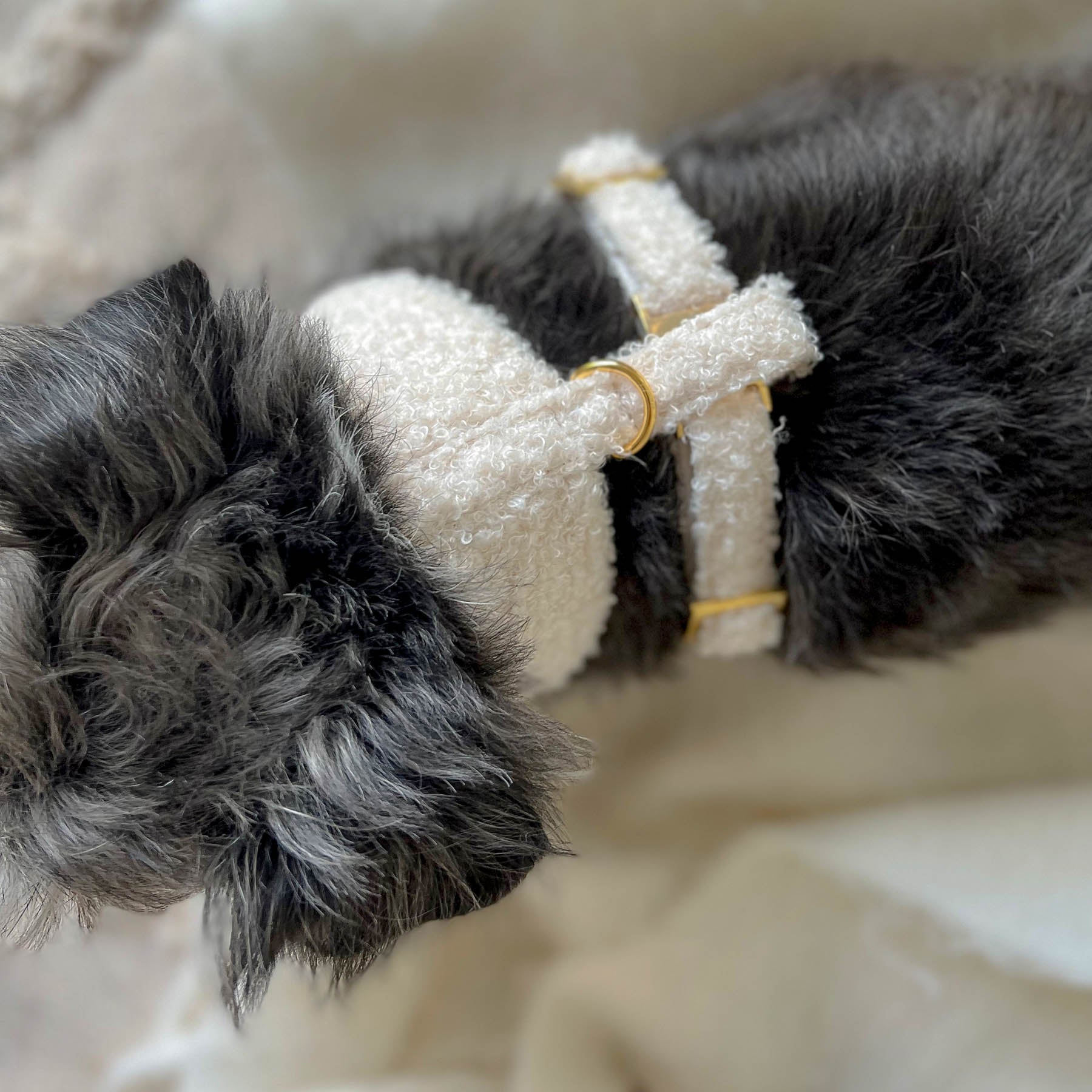 TEDDY cream soft harness