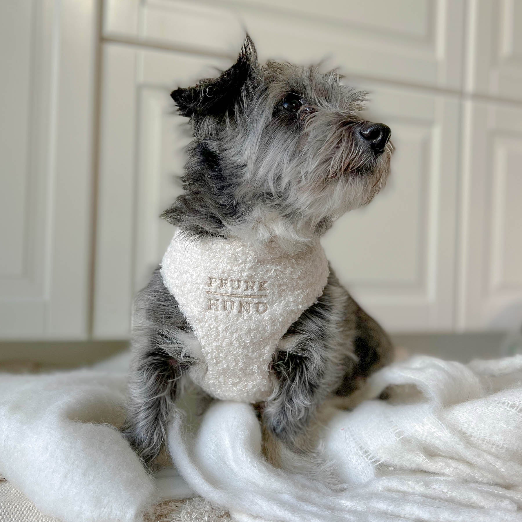 TEDDY cream soft harness