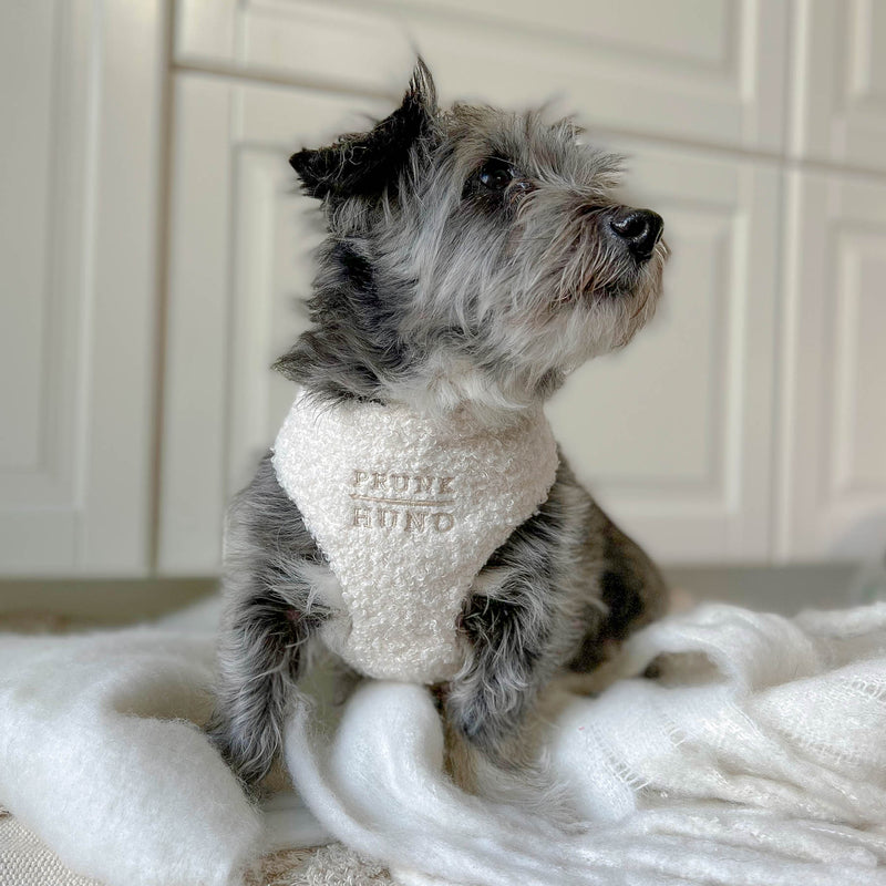 TEDDY cream soft harness
