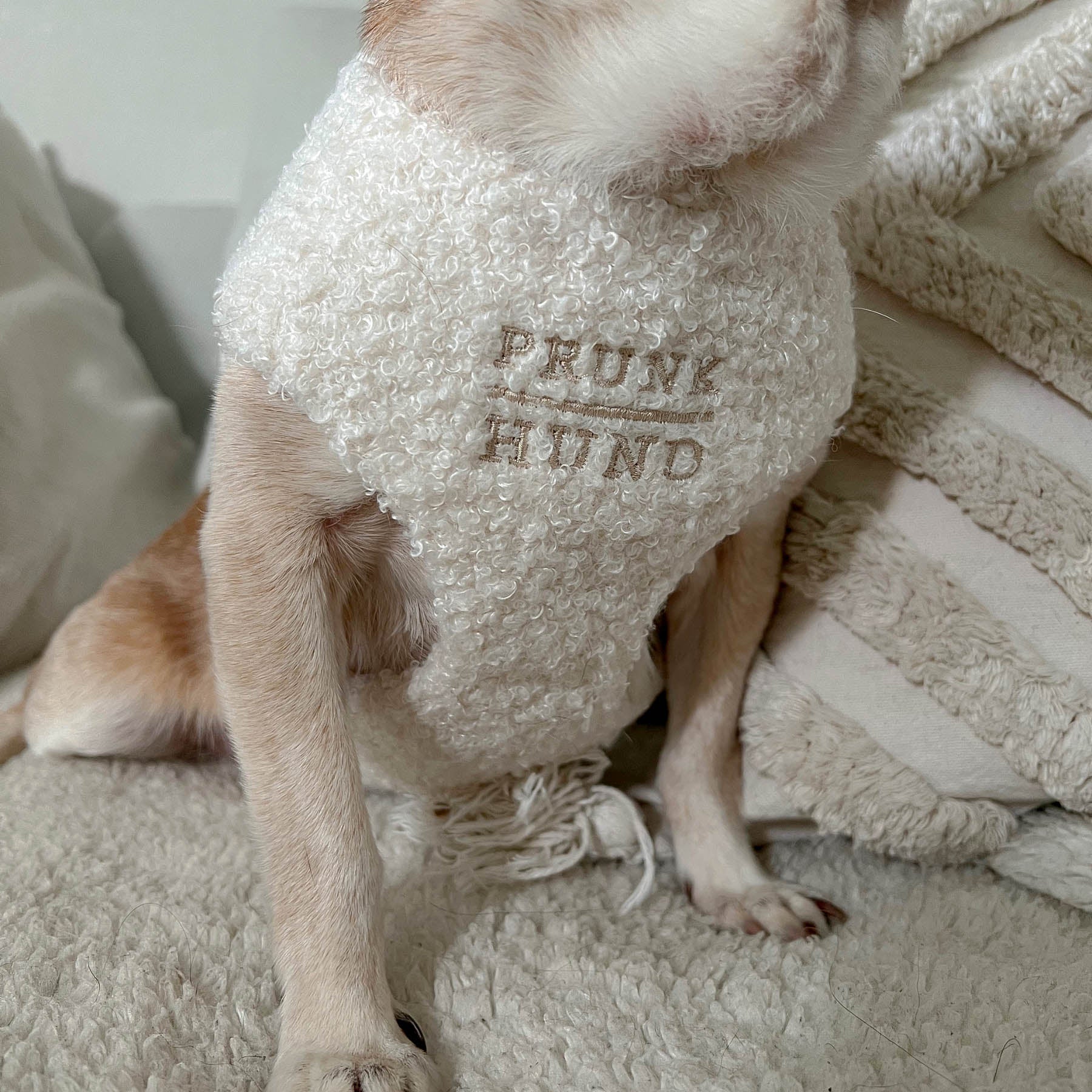 TEDDY cream soft harness