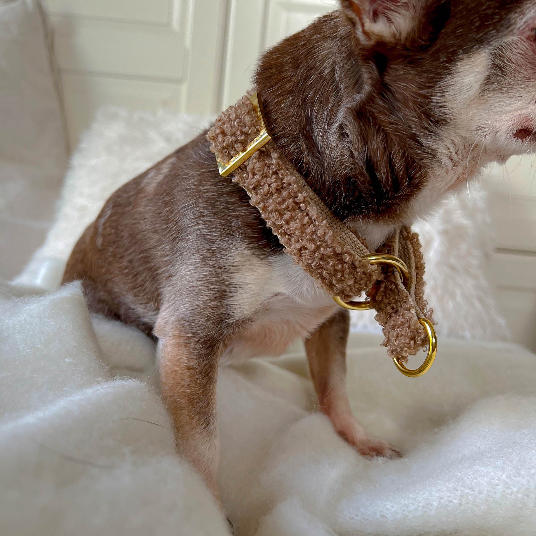 Zugstopp Halsband TEDDY tan