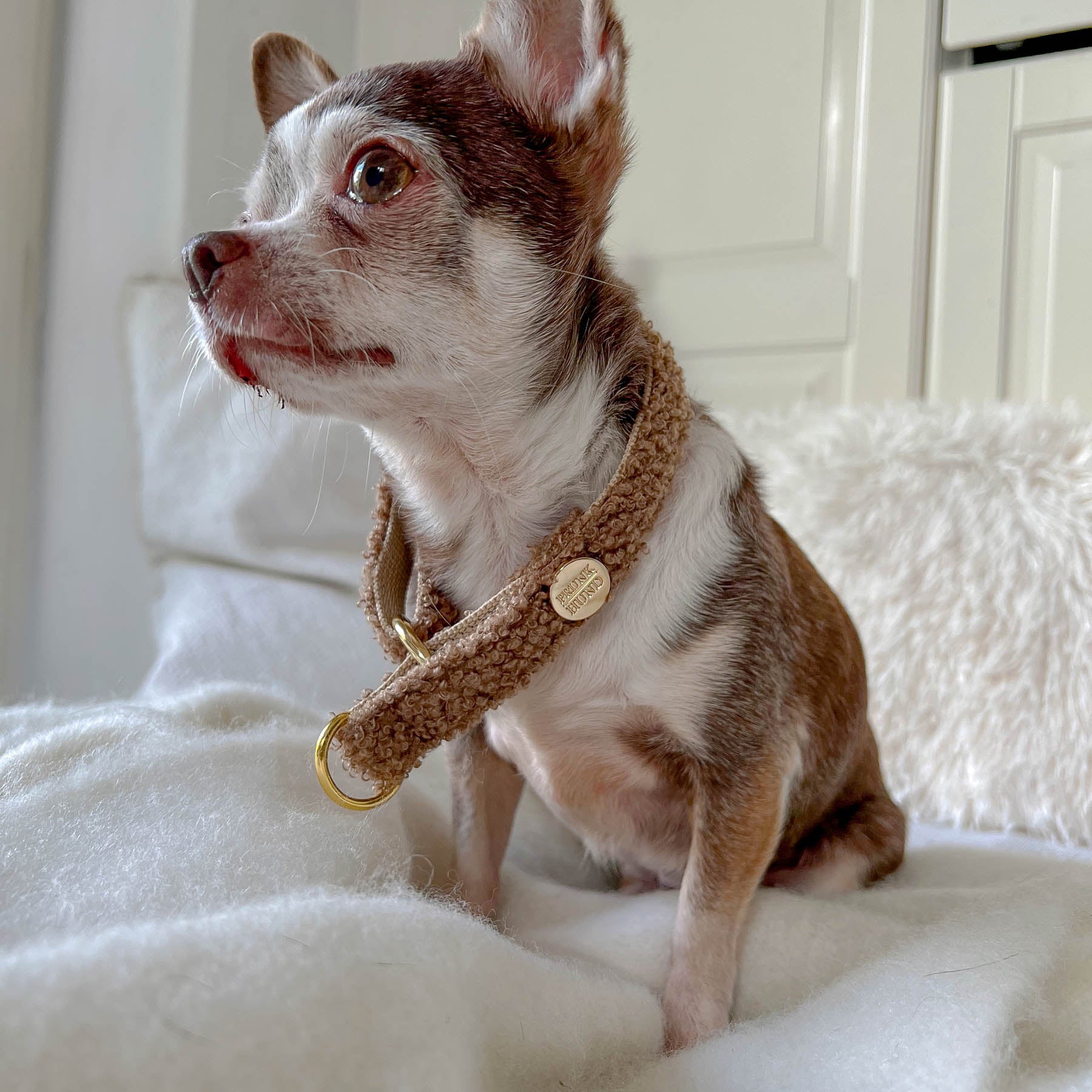 Zugstopp Halsband TEDDY tan