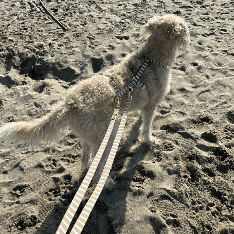 Sicherheitsgeschirr LIDO SAND