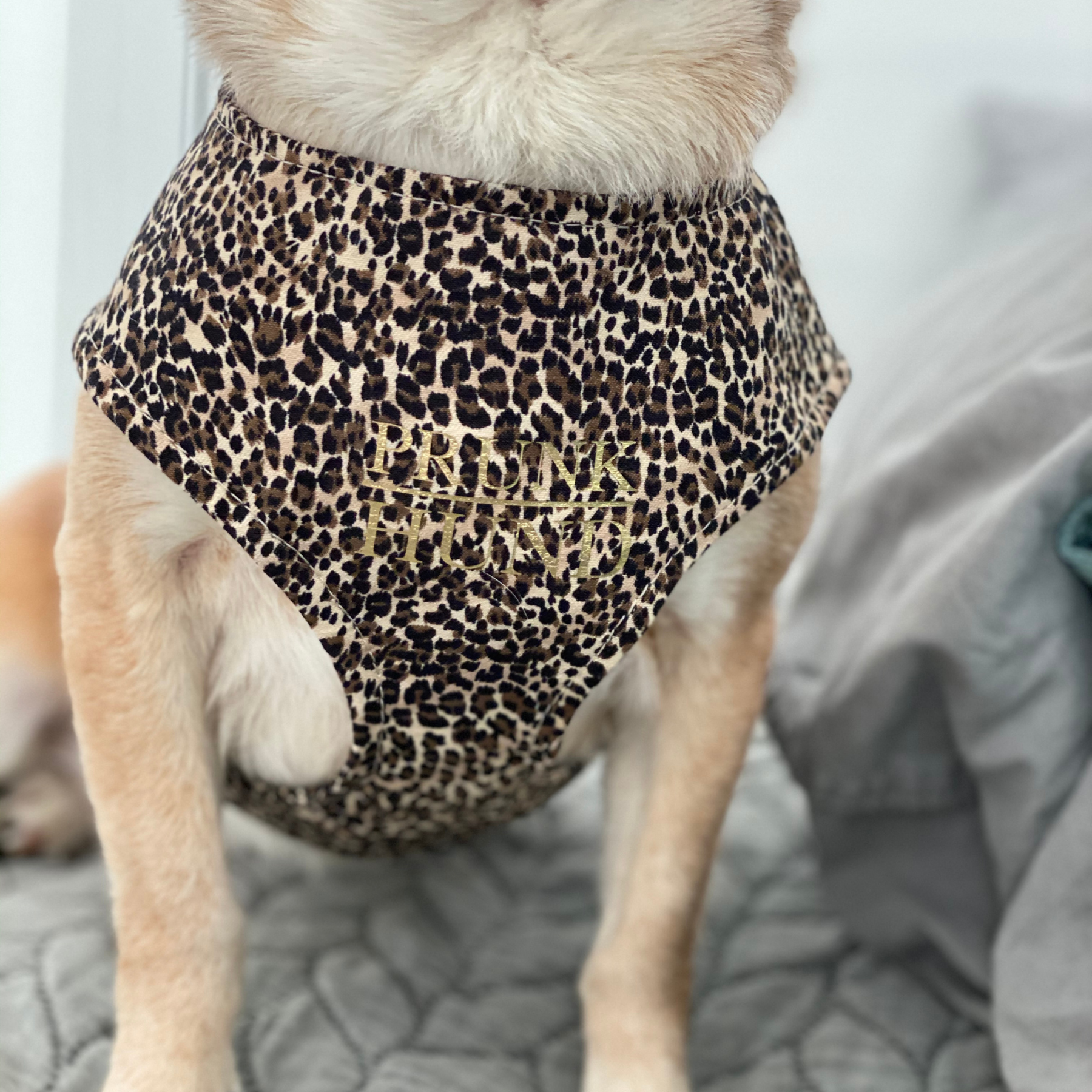 WILD LIFE soft harness