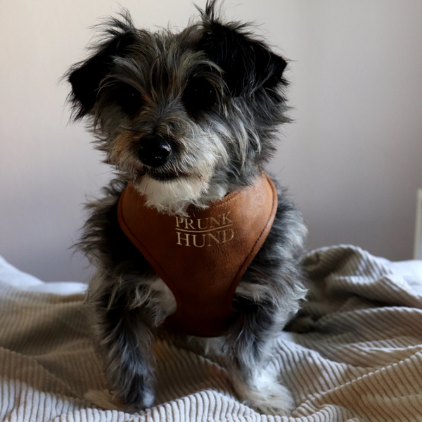 TRAVELER soft harness