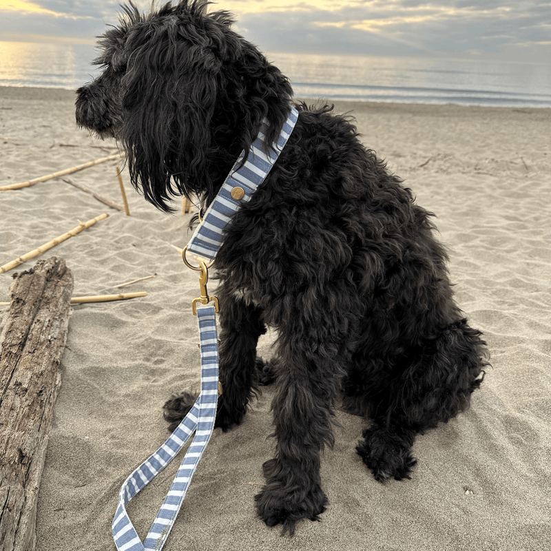 LIDO BLUE collar