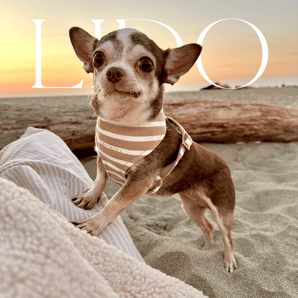 LIDO SAND soft harness