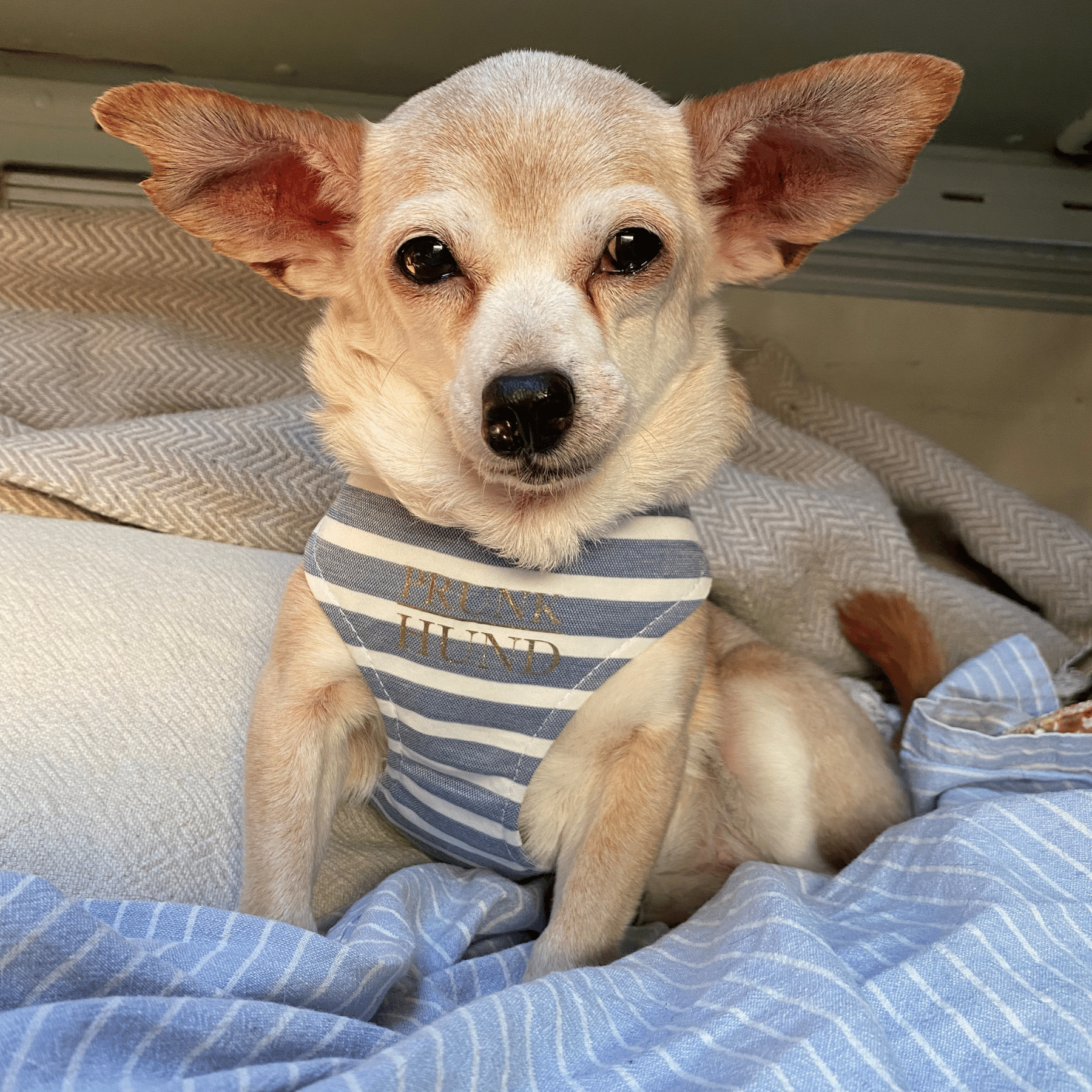 Softgeschirr LIDO BLUE