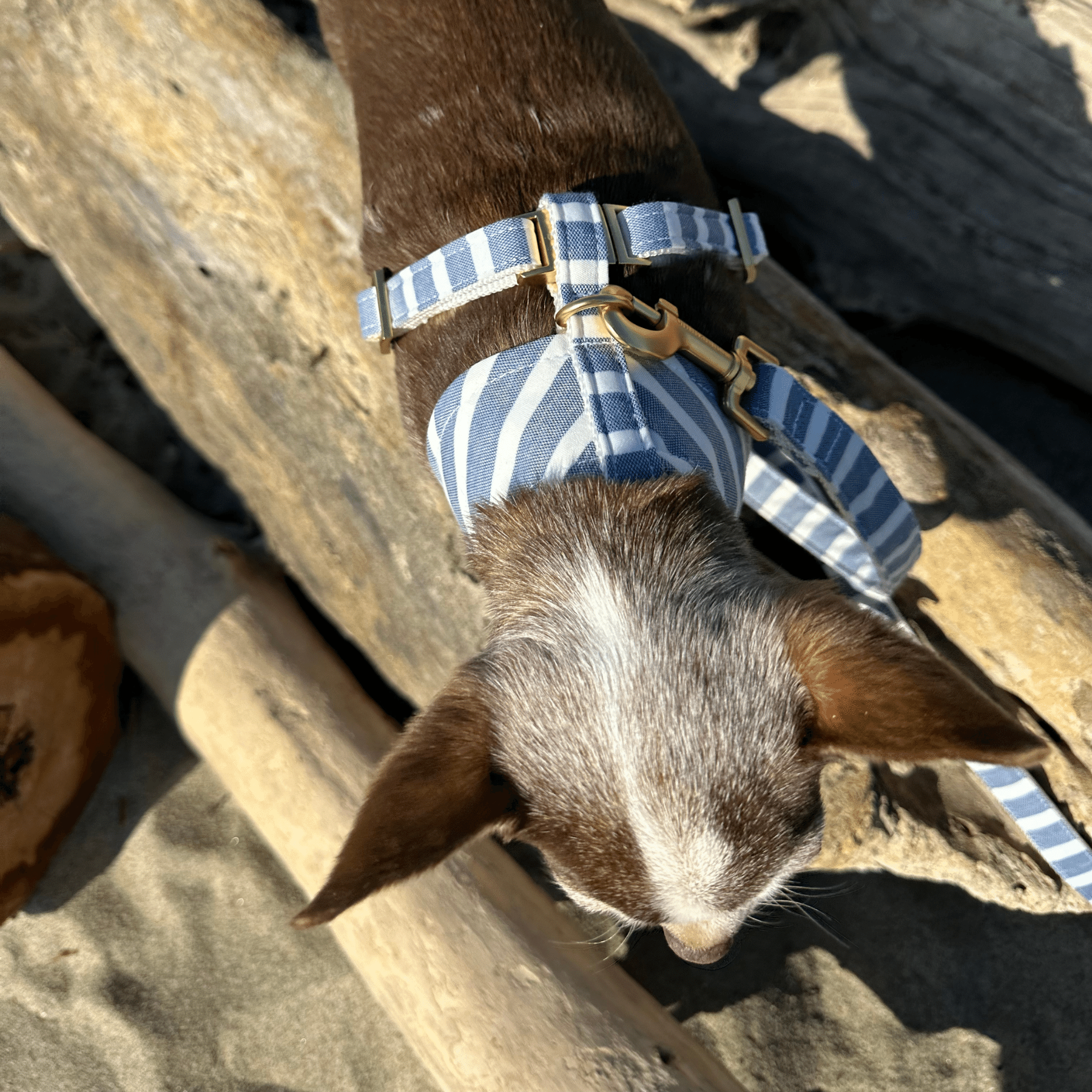 Softgeschirr LIDO BLUE