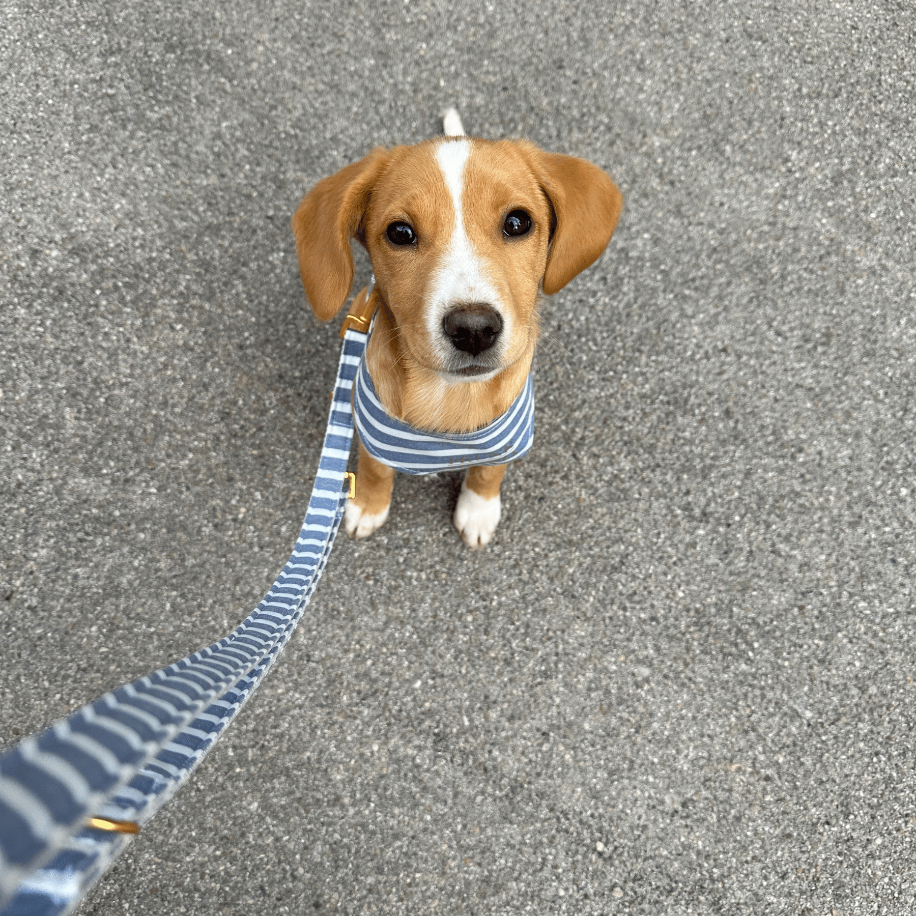 Softgeschirr LIDO BLUE