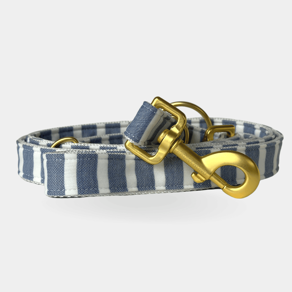 leash LIDO BLUE