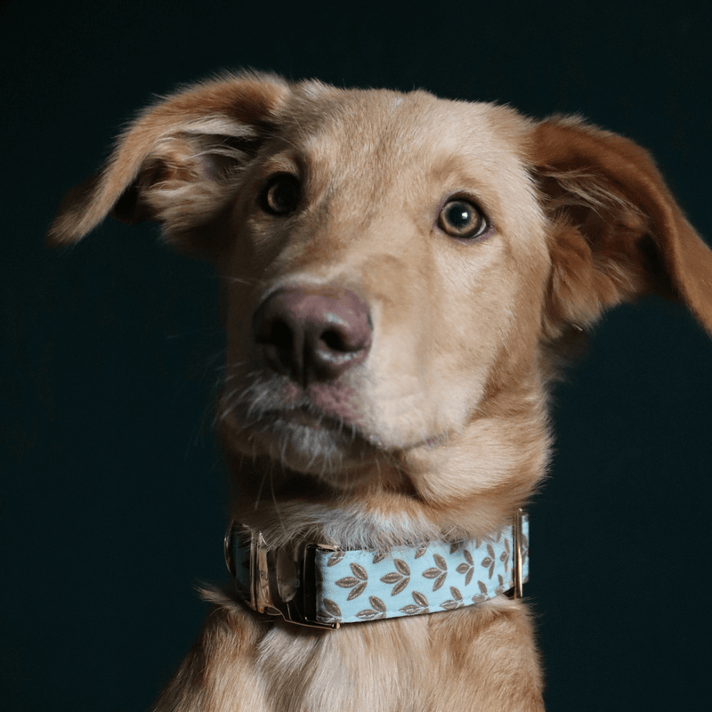 Halsband TEAL GLOW.