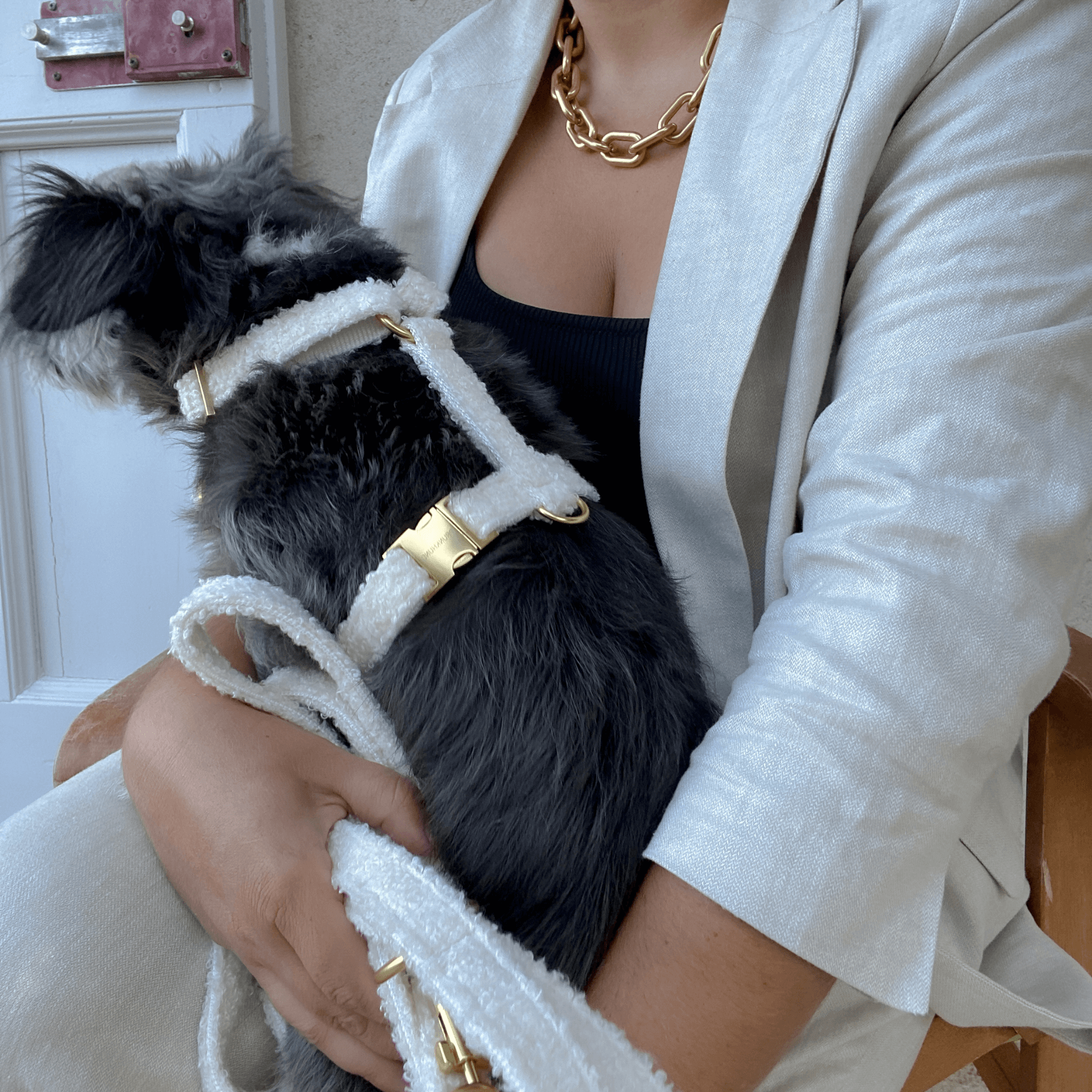 TEDDY cream dog harness