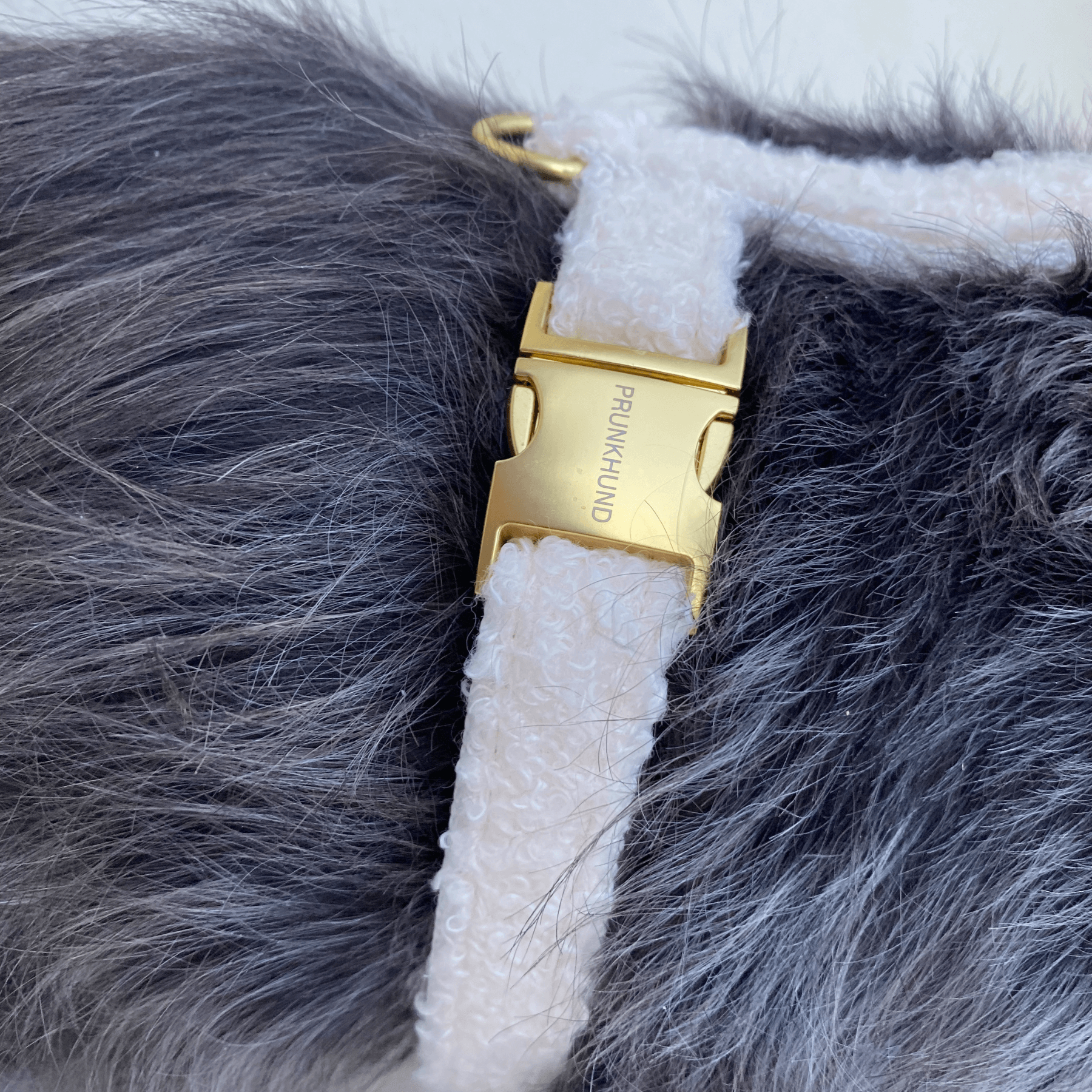 TEDDY cream dog harness